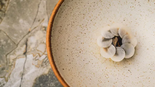 Enguia defumada do Restaurant Sat Bains: discos finos e translúcidos dispostos como uma flor sobre a enguia, num prato fundo de cerâmica clara