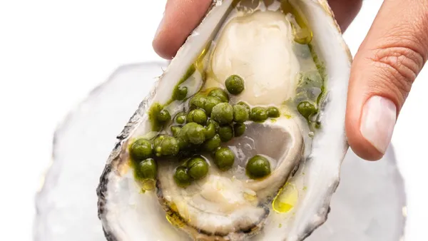 Ostra do Picchi servida na concha, com pequenas esferas verdes e gotas de azeite, segurada sobre uma tigela com gelo